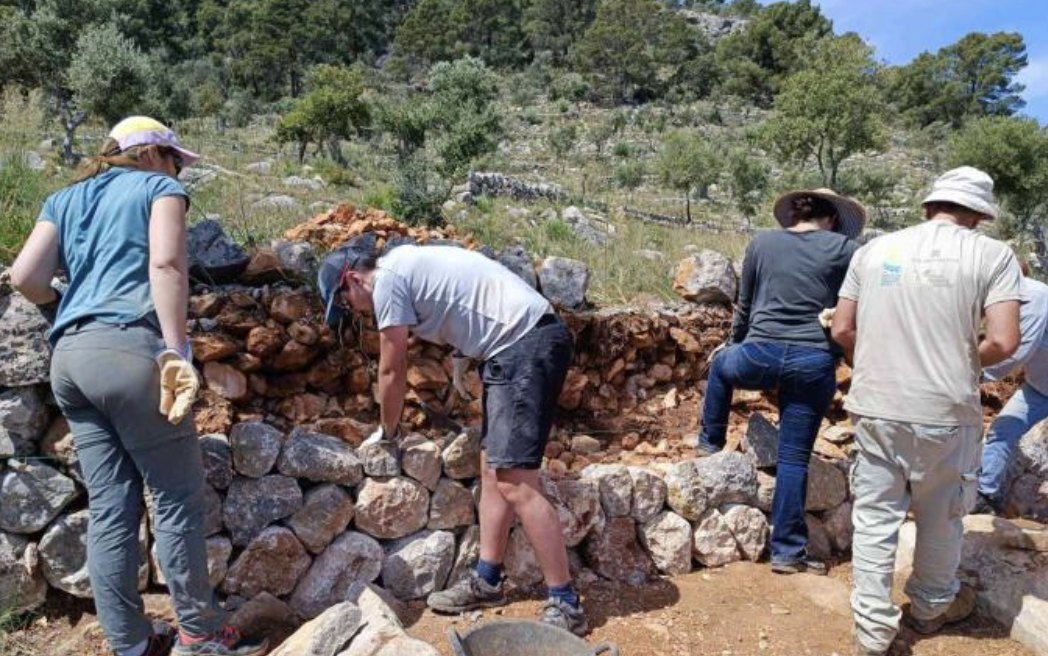Refent un marge de pedra en sec a la Serra de Tramuntana.